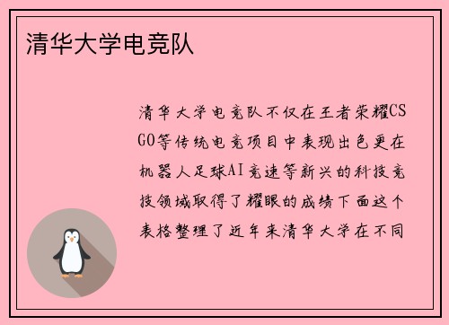 清华大学电竞队